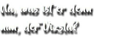 Na, was ist er denn nun, der Vizsla? 